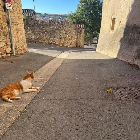 Vakantiehuis L'oustal Del Nort - Pres De Millau Paulhe